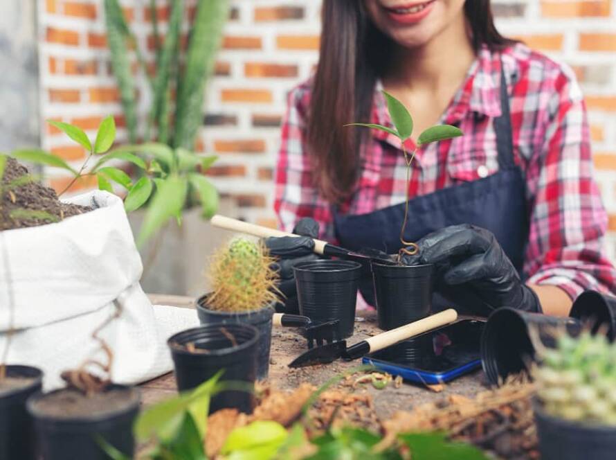 home gardening tips for beginners
