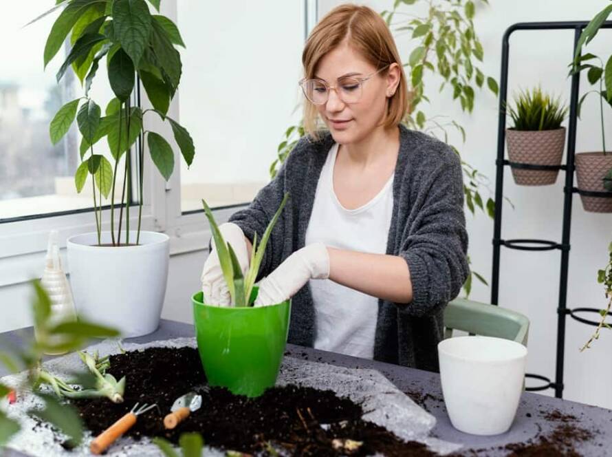 tips for gardening at home