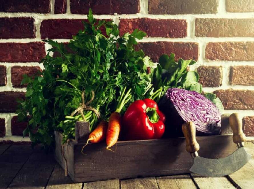 easy to grow vegetables at home india