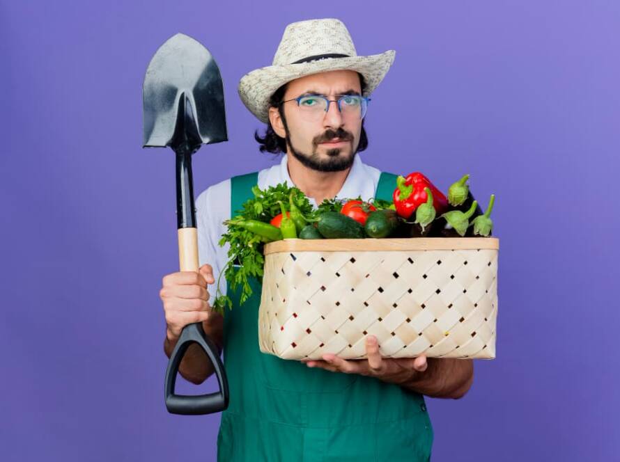 easy to grow vegetables at home india