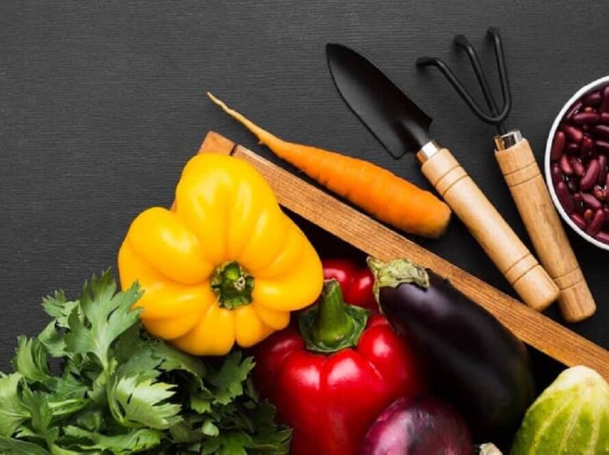 kitchen garden vegetables in india
