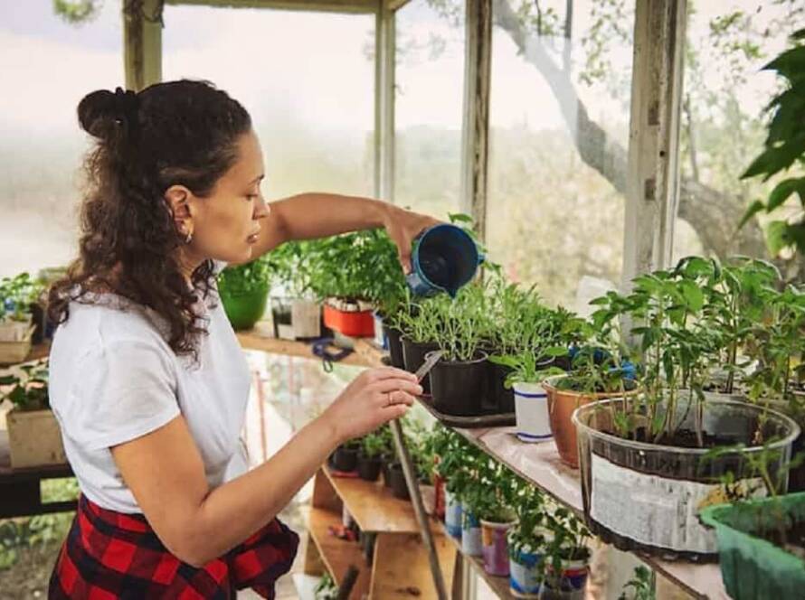 home gardening tips for beginners