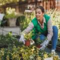 Easy Tips for Gardening at Home and Growing Healthy Plants