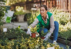 tips for gardening at home