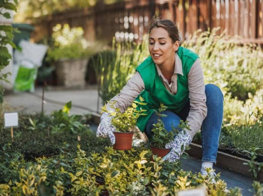 home gardening tips for beginners