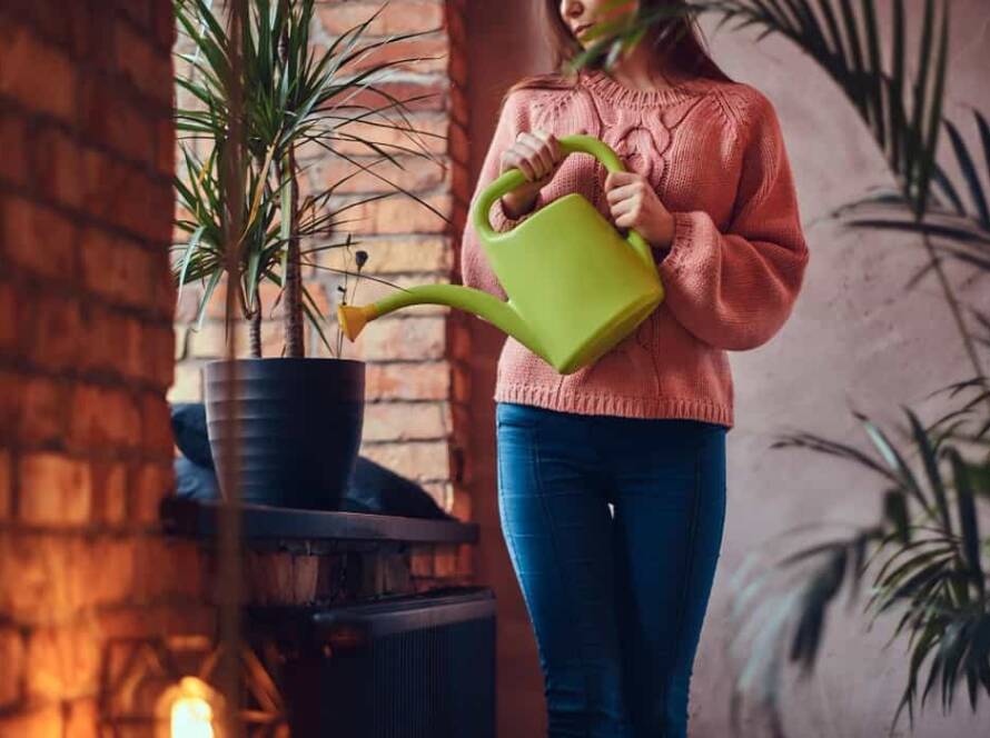 tips for gardening at home