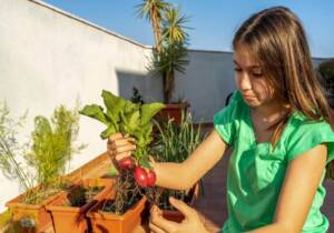 tips for gardening at home