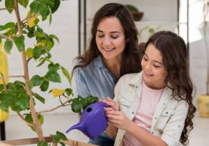 Blog 1 tips for gardening at home