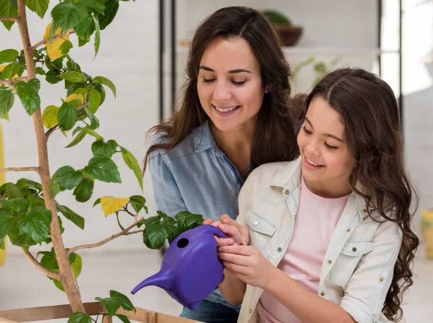 tips for indoor gardening in rajasthan