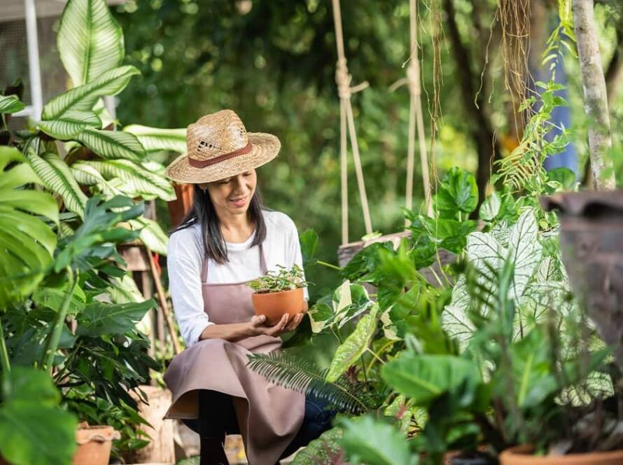 summer gardening tips in rajasthan