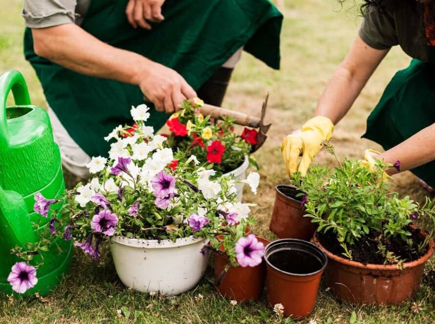 flower gardening ideas in jaipur