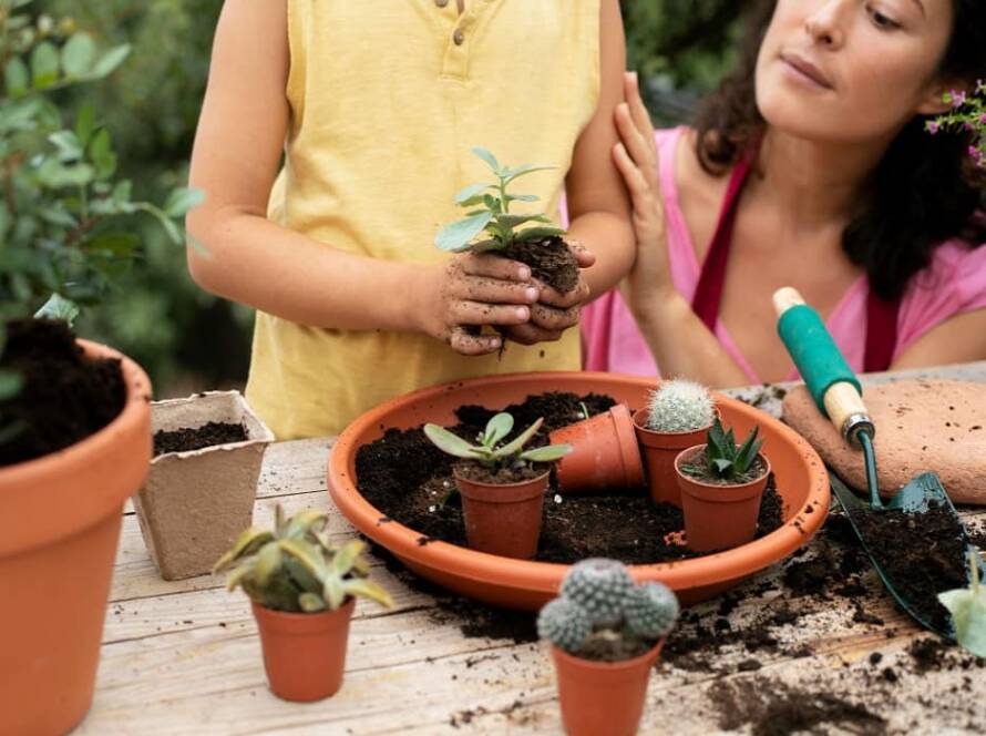 gardening for beginners india