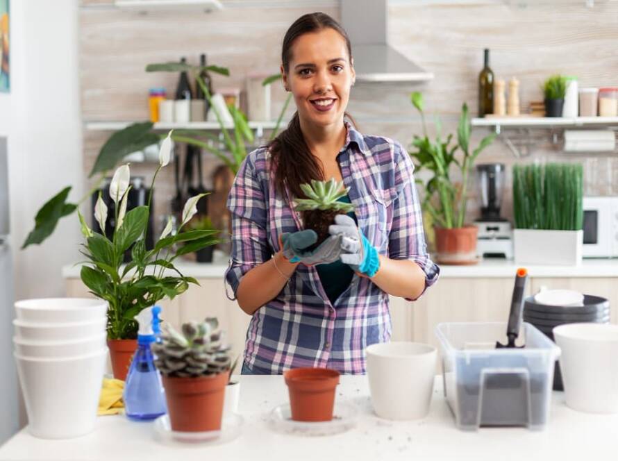 indoor gardening tips in jaipur