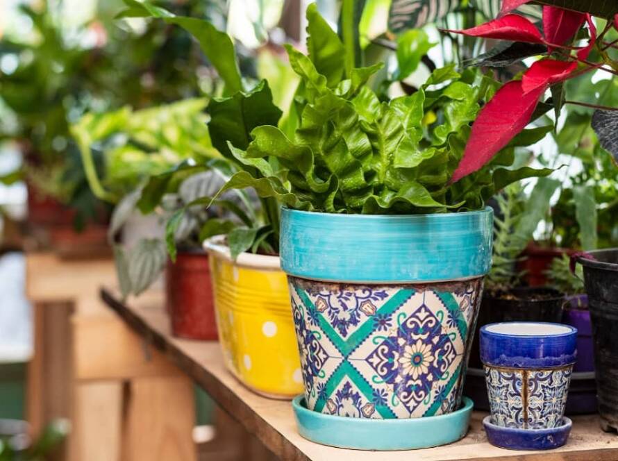 container gardening ideas for small spaces