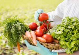 easy to grow vegetables at home india