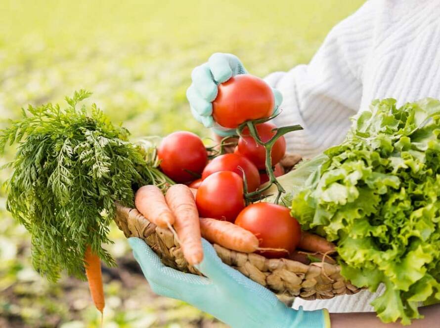 fastest growing vegetables at home in india