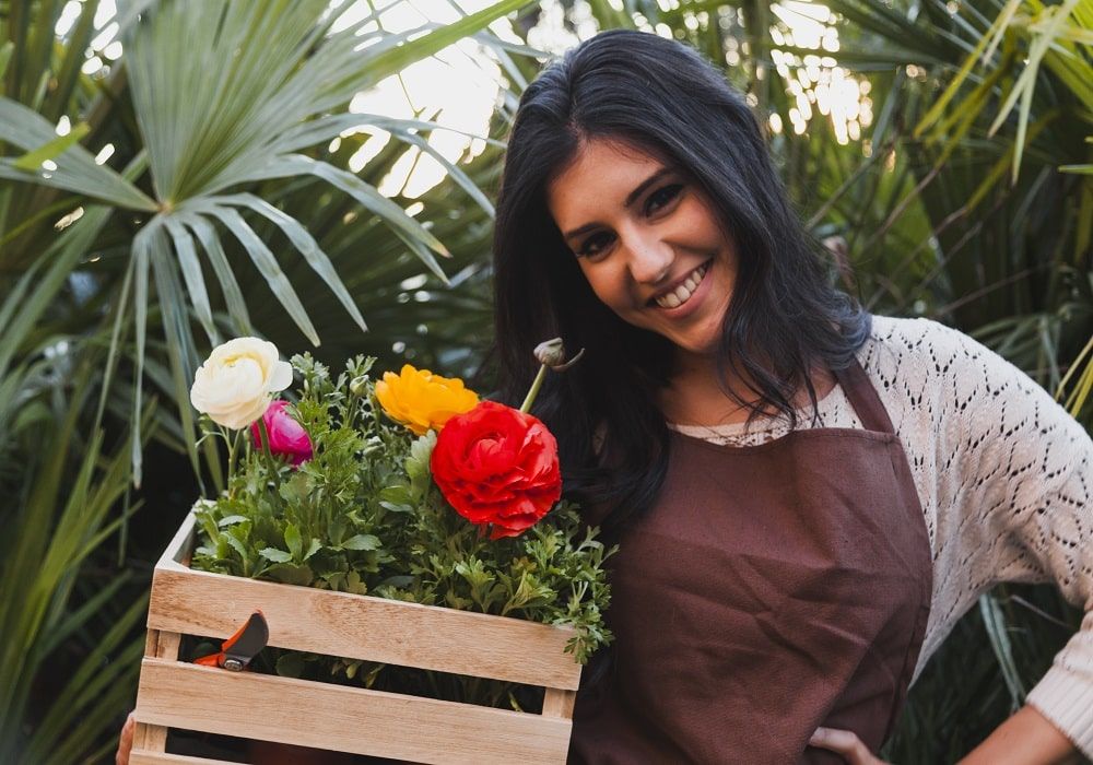 gardening for beginners india