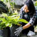 Beginner Friendly Home Gardening Tips for Indian Weather