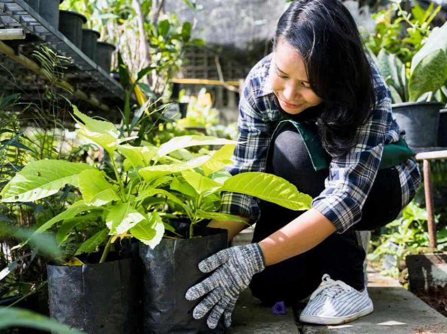 tips for gardening at home