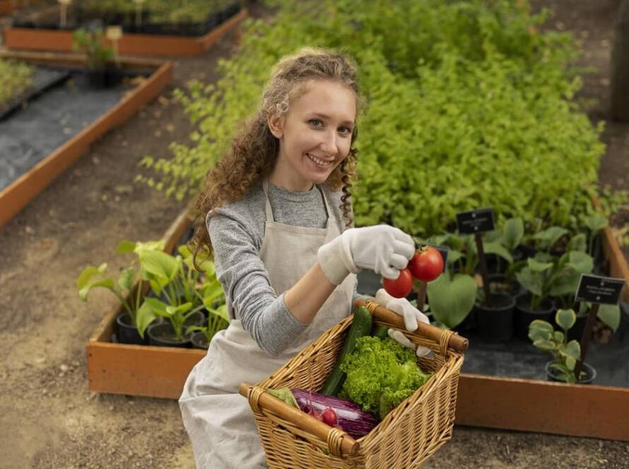 terrace vegetable garden ideas in india