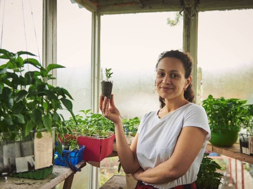 gardening for beginners india