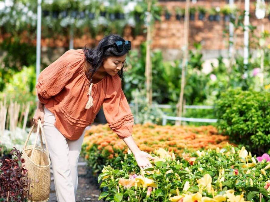 terrace vegetable garden ideas in india