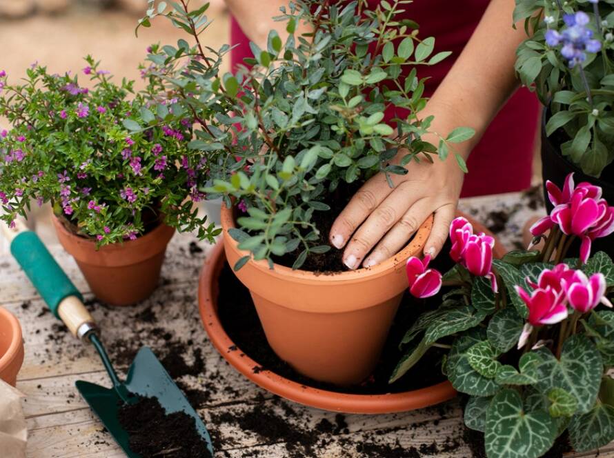 container gardening ideas for small spaces
