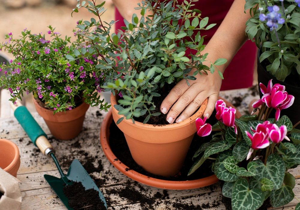 container gardening ideas for small spaces