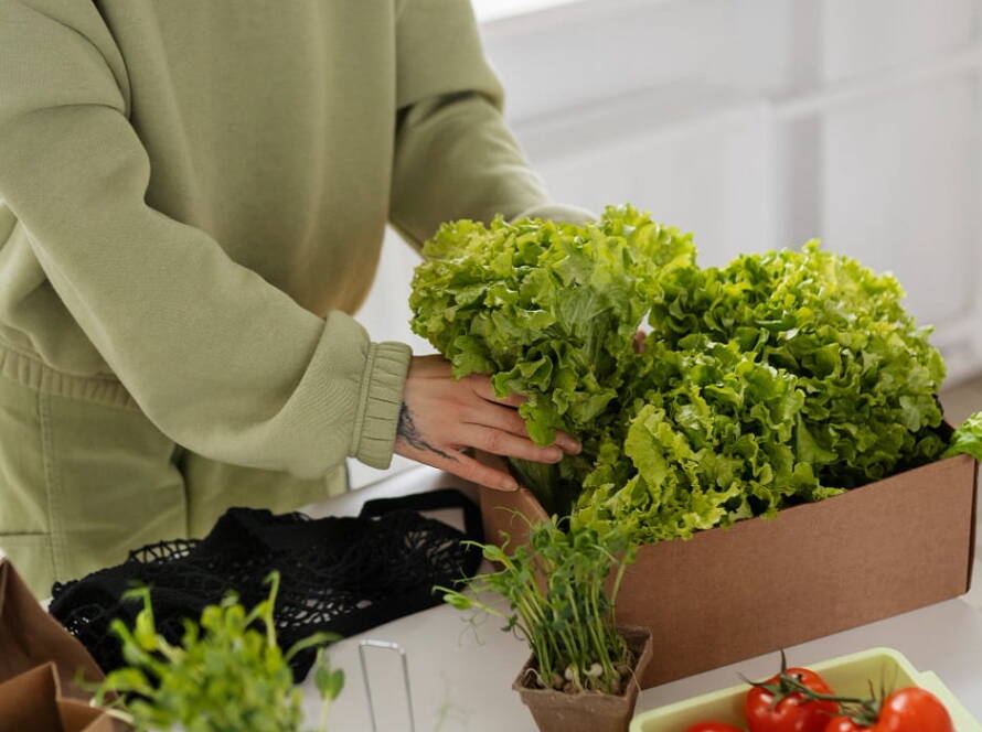 organic kitchen garden