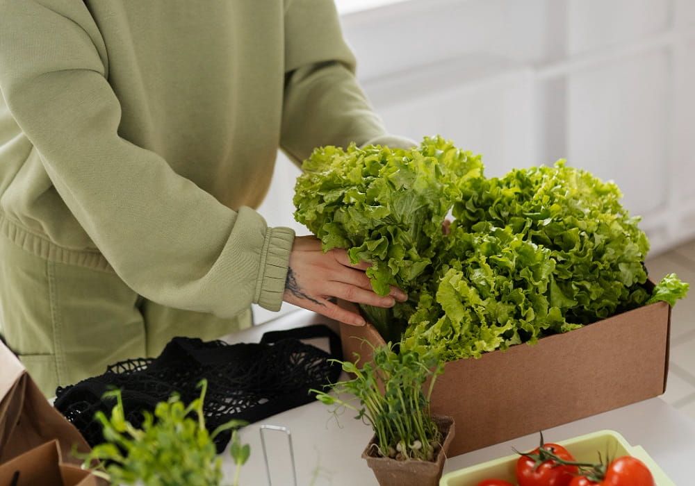 organic kitchen garden