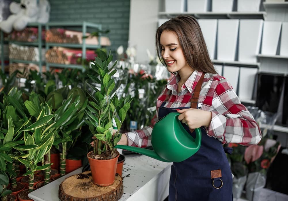 tips for gardening at home