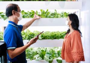home gardening