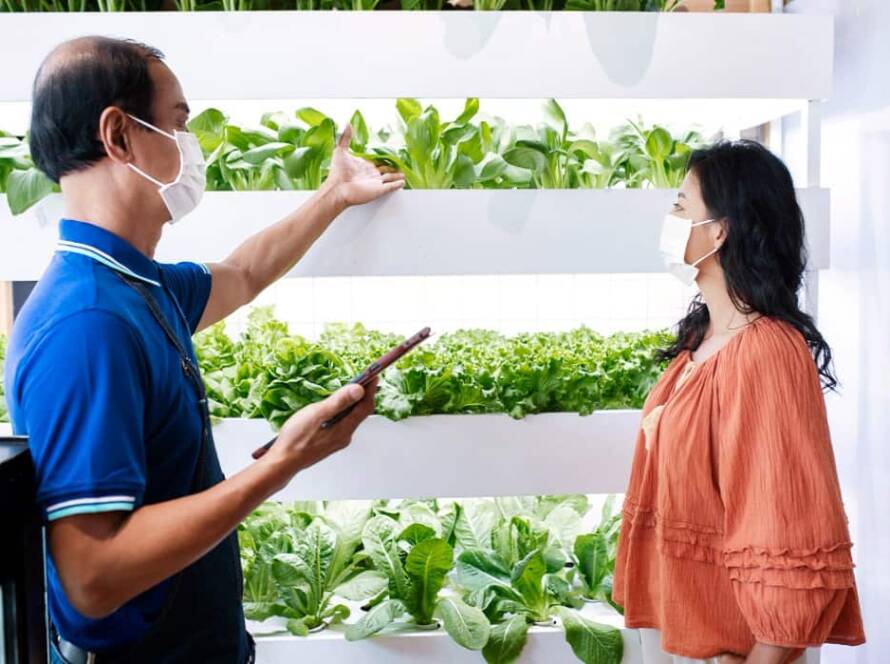 home gardening