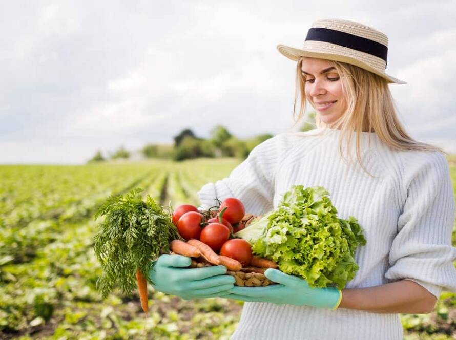 vegetable garden plants