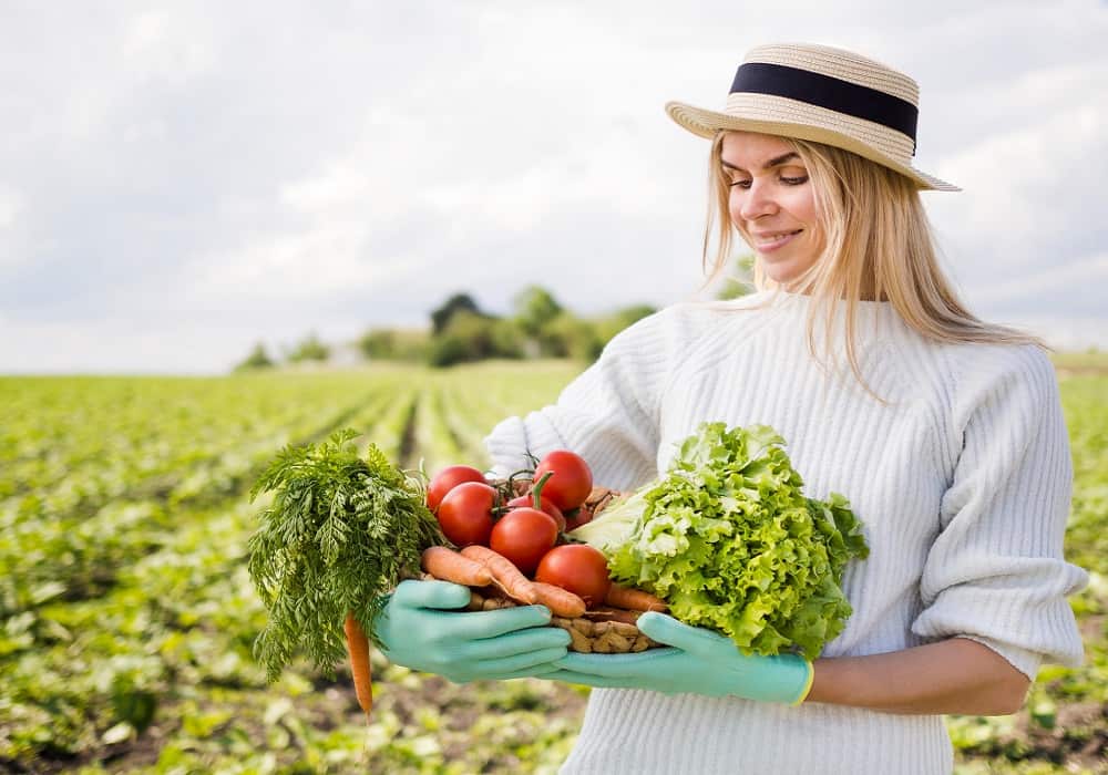 vegetable garden plants