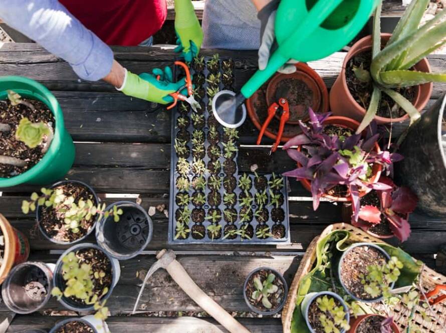 container gardening ideas for small spaces