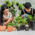 Gardening for Beginners India: 10 Simple Tips for a Thriving Garden
