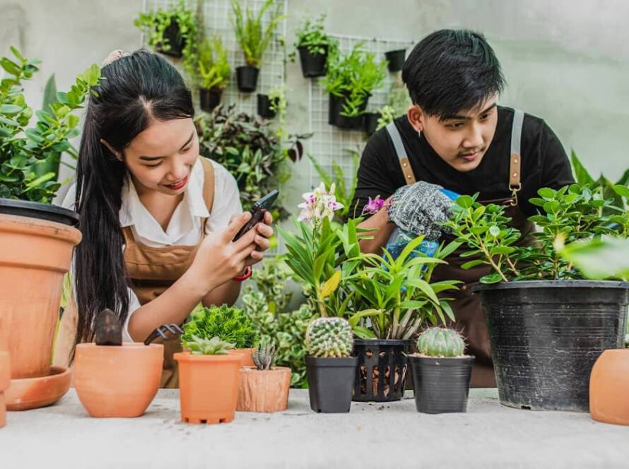gardening for beginners india