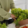 Home Gardening Tips for Beginners to Grow Healthy Plants Naturally