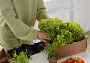 Blog 10 home gardening tips for beginners