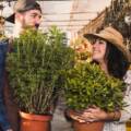 10 Easy Summer Gardening Tips in Rajasthan Every Beginner Should Know