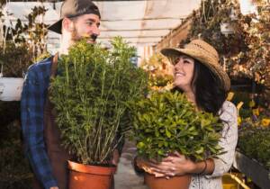 Blog 7 summer gardening tips in rajasthan