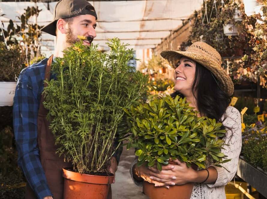 summer gardening tips in rajasthan
