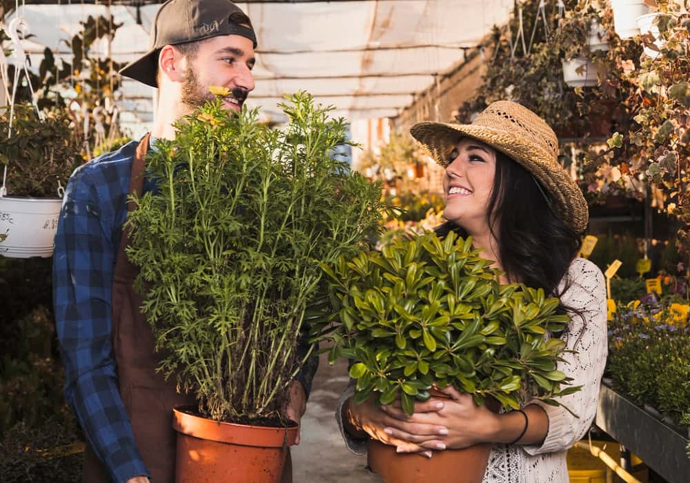 summer gardening tips in rajasthan