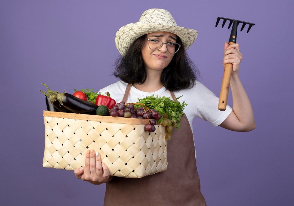 easy to grow vegetables at home india
