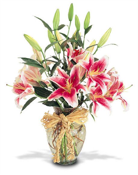 Send Online Lovely Lilies - Tilia Flowers