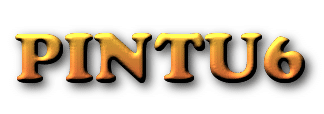 PINTU6