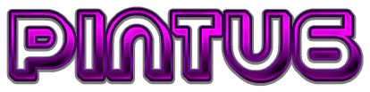 PINTU6 logo