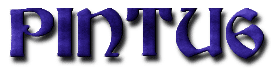 PINTU6 Logo