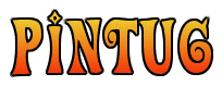 PINTU6 Logo